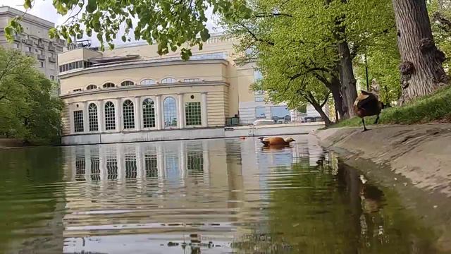 чистые пруды.весна. смотреть онлайн