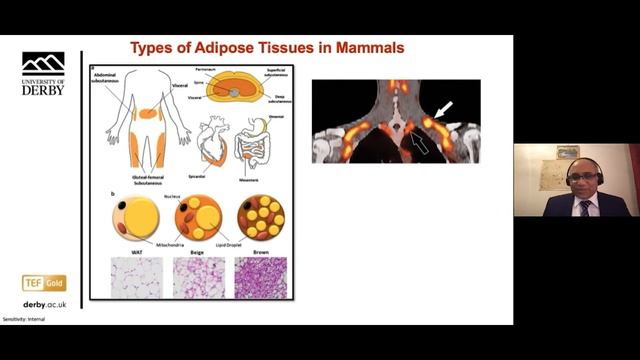 Inaugural Lecture Series: Professor Gyan Tripathi смотреть онлайн