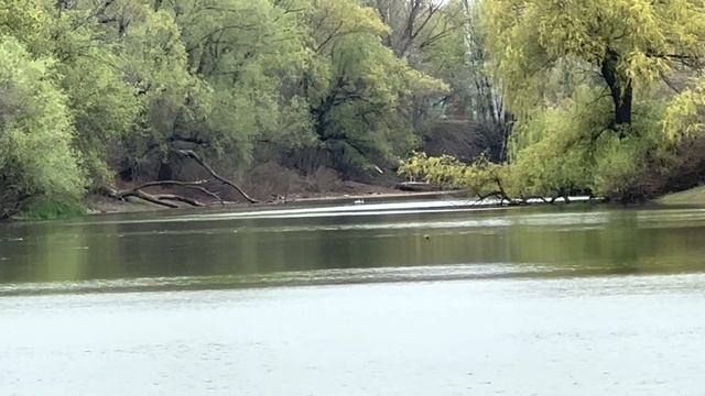 Тестируем Deeper Chirp+2 на дальность 300 метров +