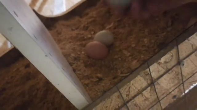 Испытания духовки смотреть онлайн