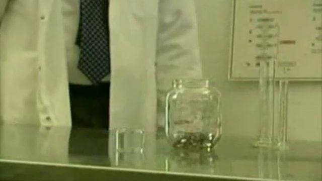 Мы теже блохи смотреть онлайн