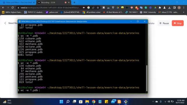 The Unix Shell Commands (CLI) смотреть онлайн