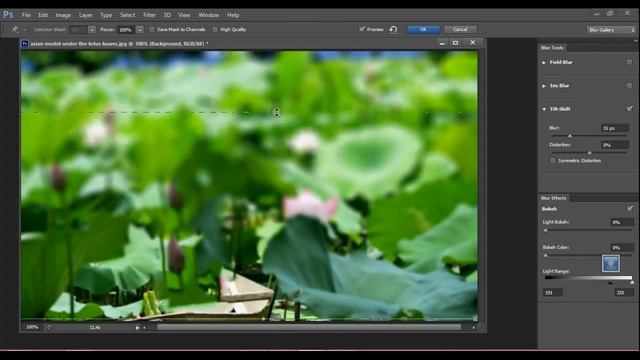 Photoshop Lab - Adding Blur & SoftLight Effects - Nithiyapriya смотреть онлайн