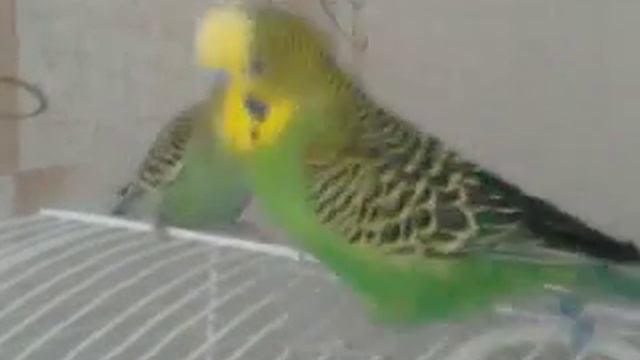 Спать пора )) смотреть онлайн