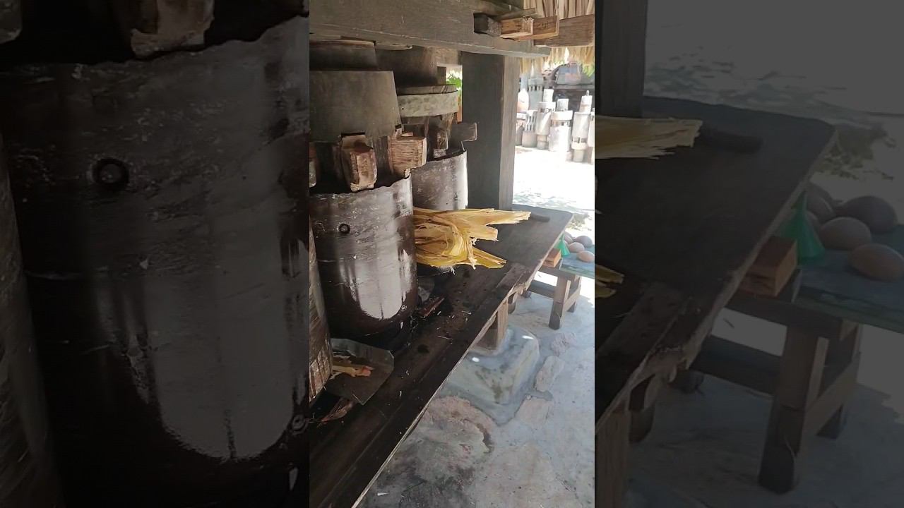 Как добывают тростниковый сок на Карибах - экскурсия по острову Маргарита смотреть онлайн