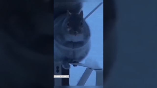 Засекли нас