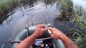 Ловля карася на поплавочную удочку с лодки в камышах.