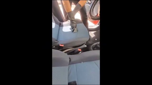 MASTER CLEANER UTIEL RENAULT CLIO #limpiadores #limpiador #serviciodelimpieza #limpiezadeautos смотреть онлайн