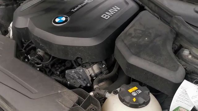 B38 Engine - BMW 118i Facelift - Sound With Old Sparkplugs