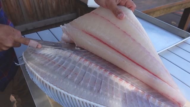 FILLET LIKE A BOSS | In Depth Halibut/Flounder Fillet Tutorial смотреть онлайн