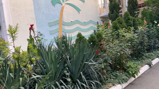 Крым,Николаивка,спокойное и не дорогое место.большое Авто путешествие.пенная дискотека #крым #море смотреть онлайн