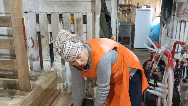 ТАСКАЕМ КОЗ НА ПОДИУМ РЖУ НЕ МОГУ смотреть онлайн