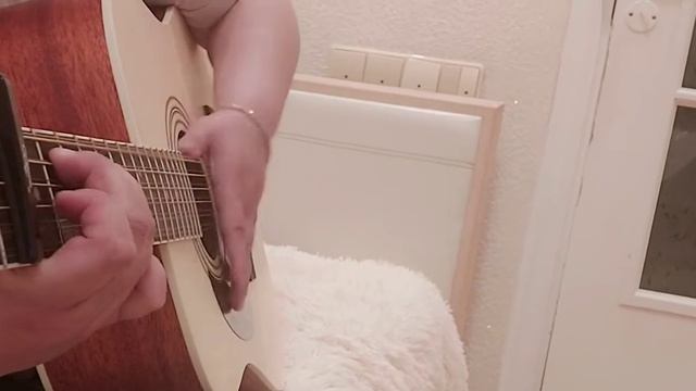 Птичка -невеличка 🐦 смотреть онлайн