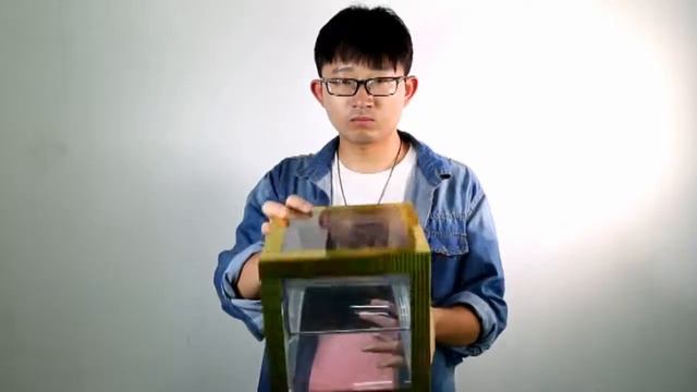 Ящик для появления денег
