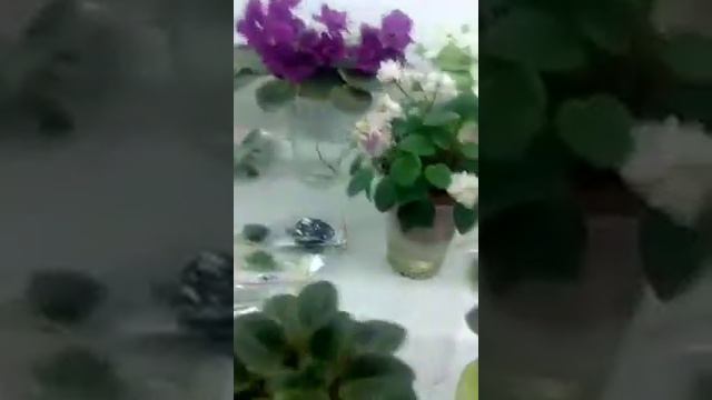 Поддон из подручных материалов смотреть онлайн