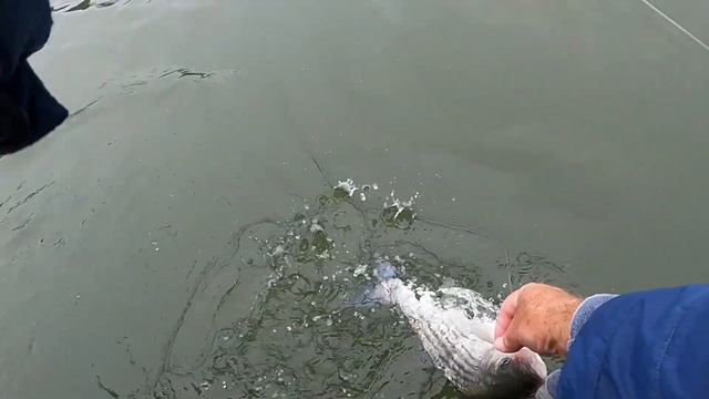 SIMPLE MISTAKE you DON'T want to make with a BIG FISH ON ! ! ! смотреть онлайн