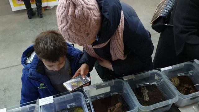 Домашние любимцы январь 2021 смотреть онлайн