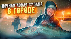 Каждый так может! НОЧНАЯ ЛОВЛЯ СУДАКА В ГОРОДЕ! Ловля на вибы.