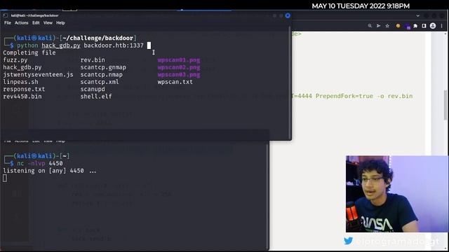 Máquina Backdoor HTB (Wordpress, GDBServer, LFI to RCE) смотреть онлайн