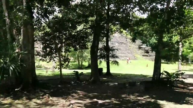 Tikal National Park Old Temple Near Observatory смотреть онлайн