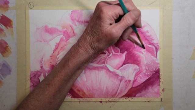 How I Painted Watercolor Pink Rose Step by Step смотреть онлайн