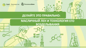 Делайте это правильно: масличный лен и технология его возделывания