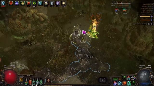 Lightning Strike Raider Full Levelling and Mapping Guide 3.19 Path of Exile Lake of Kalandra смотреть онлайн