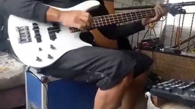 Payu 1.7jt Bass Washburn XS4 MIK смотреть онлайн