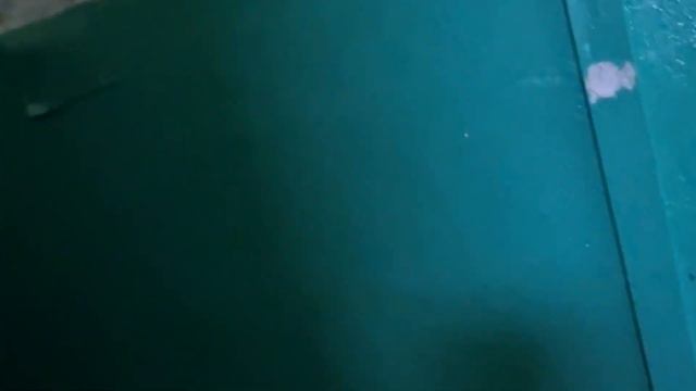 #норильск ГОЛОЛЁД - ОН, КАК ШАХМАТЫ: ШАГ и МАТ ул.Первомайская,26 смотреть онлайн