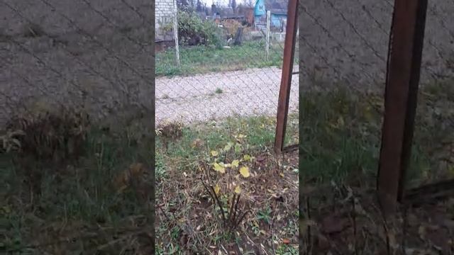 наш маленький домик. сезонный домик из минибруса. смотреть онлайн