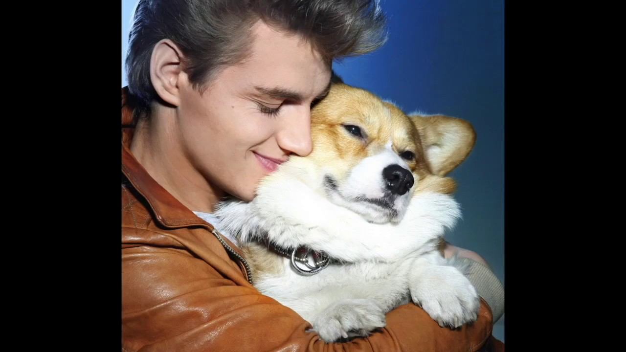 Когда растает первый снег. Элвис смотреть онлайн