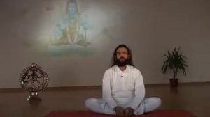 Мастер класс Шри Шри ЙОГА Каши Динеш Полная версия