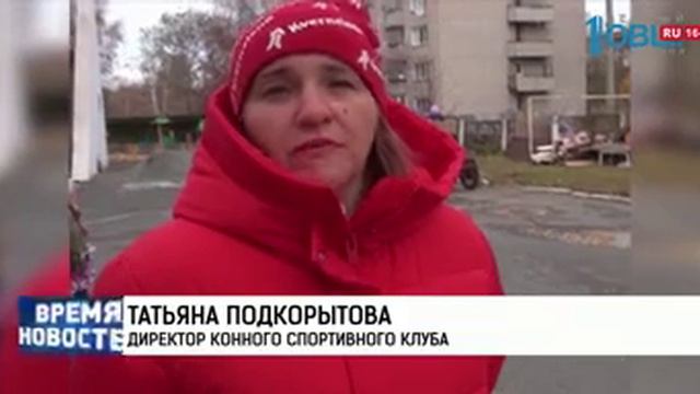 В детском саду № 52 начались уроки верховой езды смотреть онлайн