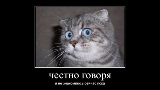 всем привет я ищу девушку смотреть онлайн