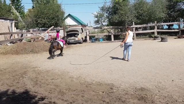 Оля на Поле :-)). Тренировка на пони учебная рысь+упражнения. смотреть онлайн