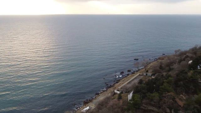 Лавровый сад. Алупка. смотреть онлайн