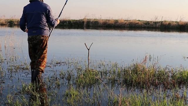 Рыбалка на реке Чулым (Новосибирская обл.) в поисках Сазана... #Чулым #рыбалкаскомфортом смотреть онлайн