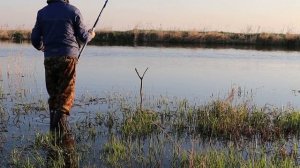 Рыбалка на реке Чулым (Новосибирская обл.) в поисках Сазана... #Чулым #рыбалкаскомфортом