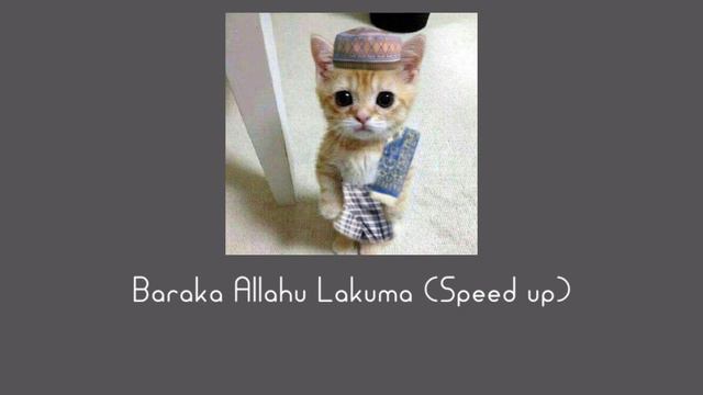 Maher Zein - Baraka Allahu Lakumaa [Speed up songs - tiktok version 🎶] смотреть онлайн