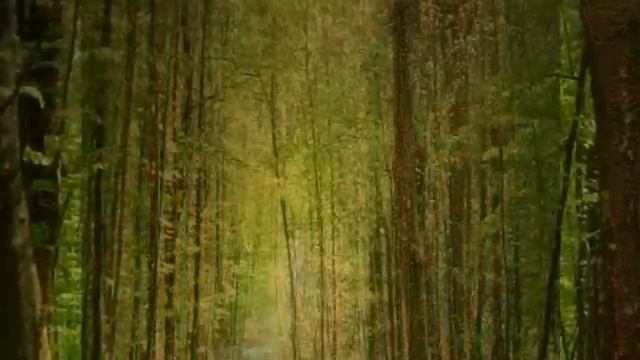 The new Interface - Enchanted forest (mystery & dark) смотреть онлайн