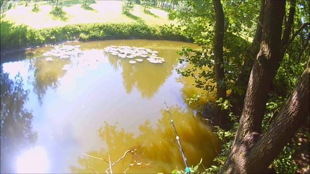 На Рыбалке на косынку поймал 8 рыб а на поплавок 0 смотреть онлайн