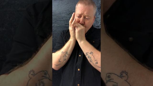 Easy/I Almost Lost My Mind - Blues Harmonica смотреть онлайн