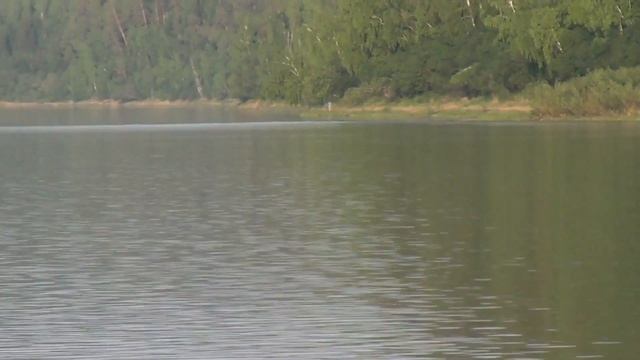 Рыбалка в Каргино 2016. Рыбалка на Сотниково. Тайга. Закат. Рыбалка. Охота. Грибы. смотреть онлайн