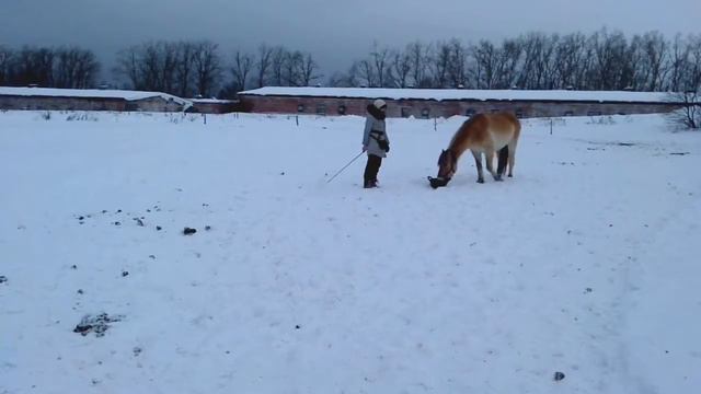 Упражнение "Еда моя". 2-й подход с Геранью на едине. смотреть онлайн