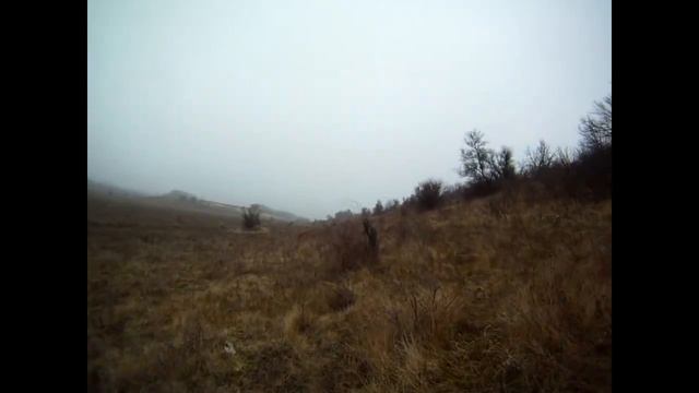 заяц по чернотропу.mp4 смотреть онлайн