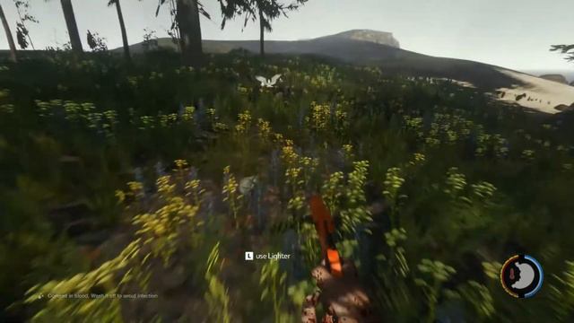 The Forest - Episode 2 - Finding Food!