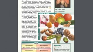 Биология (Л.Н.Сухорукова) 5-6к §48 Оплодотворение у цветковых растений. Семена и плоды