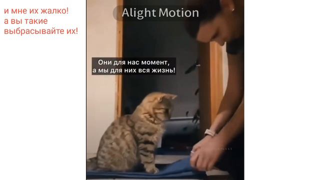 𝕶𝖔𝖙𝖎𝖐-𝖘𝖎  𝕶𝖔𝖙𝖎𝖐-𝖉𝖎