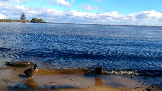 V 20160908 113848 смотреть онлайн