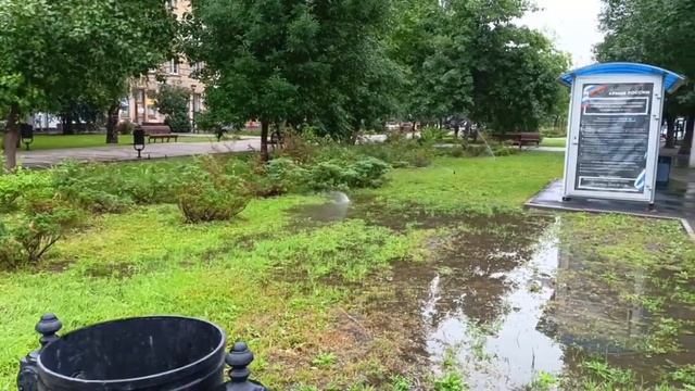В центре Саратова газон превратился в болота из-за полива в ливень смотреть онлайн